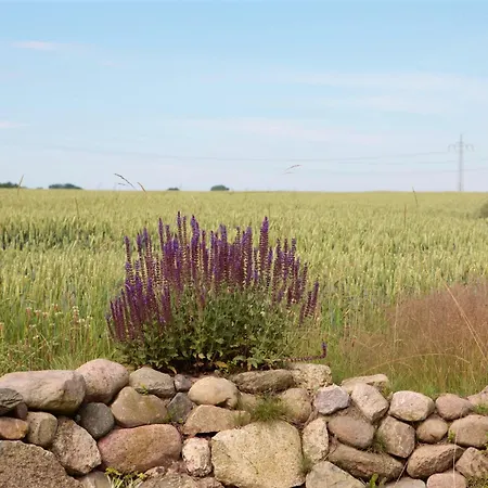 Tiny Hus Appartement *